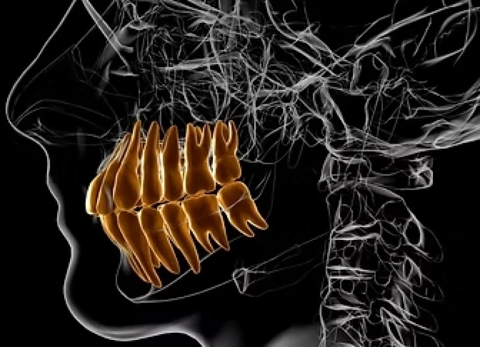 Module 5 - L'occlusion et ODF. Formation pour les orthodontistes, disponible à Lille (OLIO) et à Bruxelles (OBIO). Créé par Dr Emmanuël Bocquet