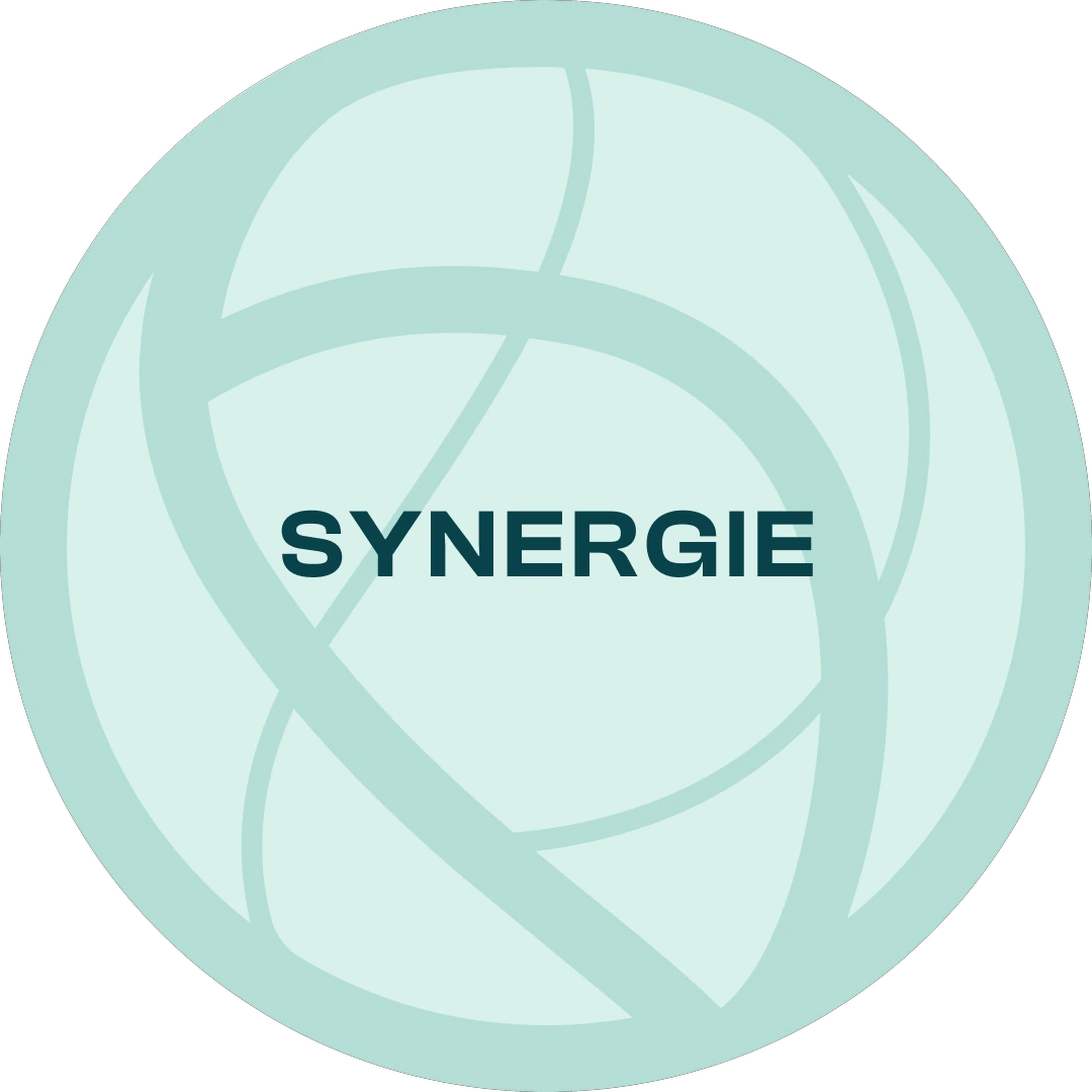 OLIO SYNERGIE